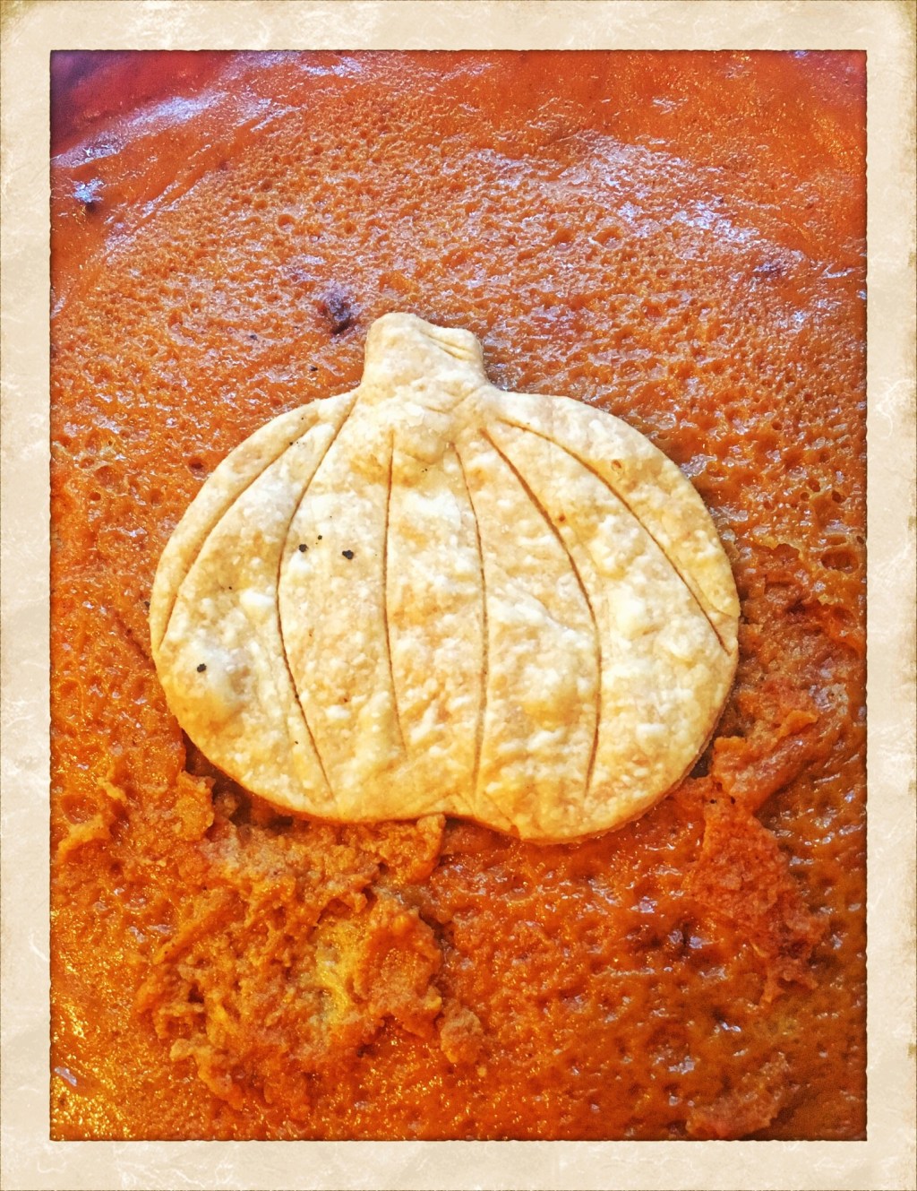 Thanksgiving Pumpkin Pie