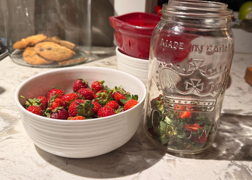 Elevate Any Salad With Your Own Berry&nbsp;Vinegar